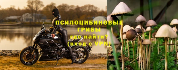 МДПВ Медногорск
