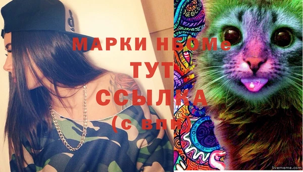 дмт Мегион