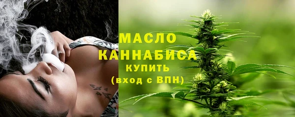 дмт Мегион
